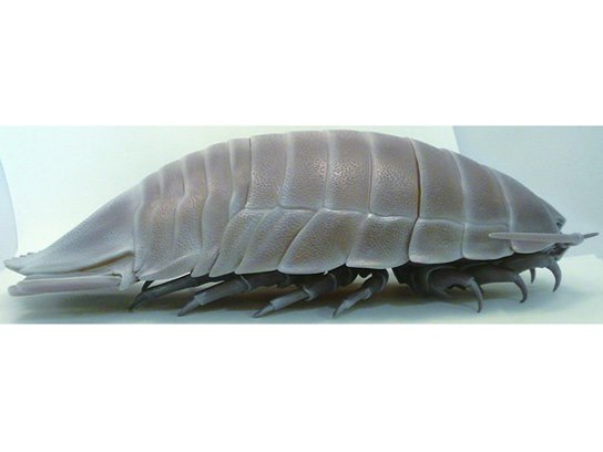 ネイチャーテクニカラー ダイオウグソクムシの製品画像 - 価格.com