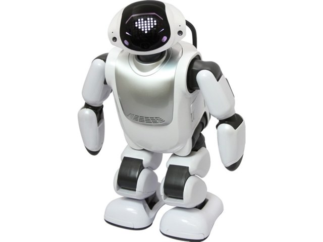 DMM.make ROBOTS Palmi 本体 Palmiの製品画像 - 価格.com