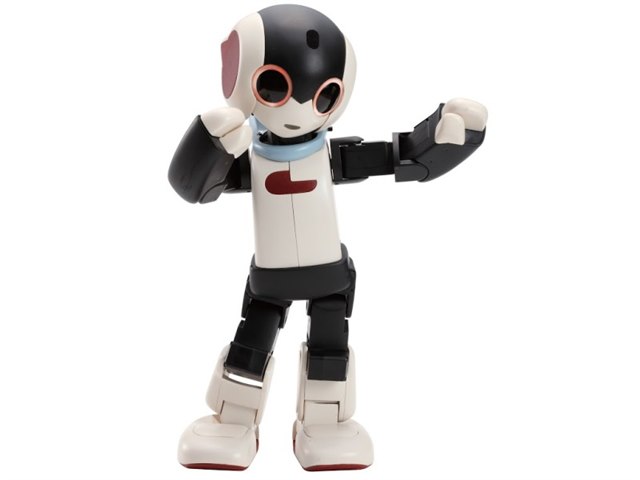 Amazon.com: Ruko 1088 Smart Robots for Kids, Large