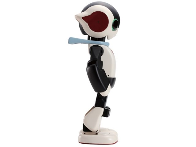 Robi ロボット 約30cm 可動式