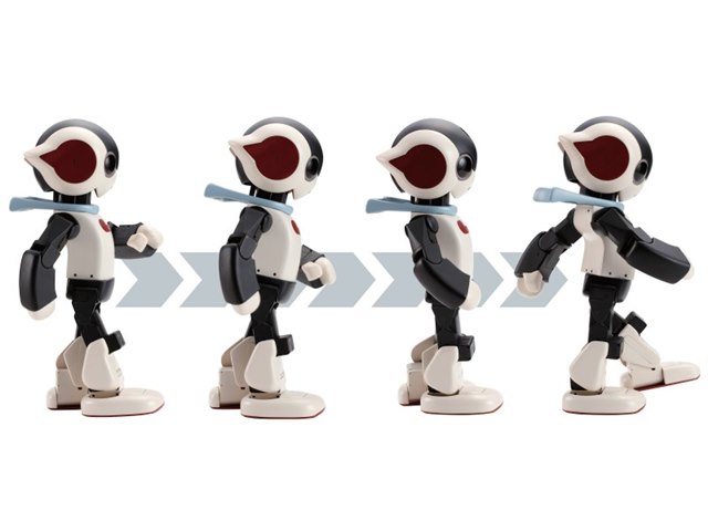 Robiの製品画像 - 価格.com