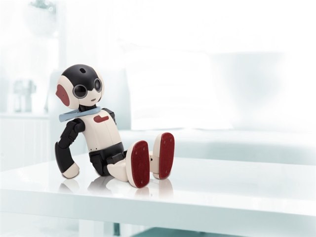 Robiの製品画像 - 価格.com