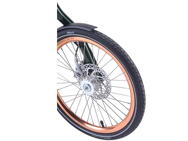 STRIDA EVO Limited Edition [ENGLISH DARK GREEN]の製品画像 - 価格.com