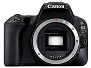 EOS Kiss X9 �{�f�B