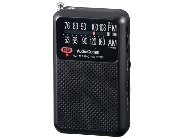 Audiocomm RAD-P2227S