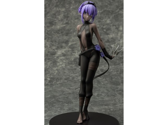 Fate/Grand Order 1/7 アサシン/静謐のハサンの製品画像 - 価格.com