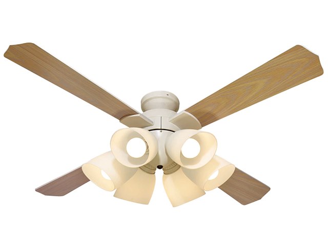 QJ-46WW6RCLE10 [�z���C�g]