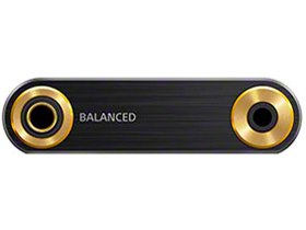 NW-ZX300G 128GB 後期モデル SONY NW-ZX300シリーズ | ポータブルオーディオプレーヤー WALKMAN