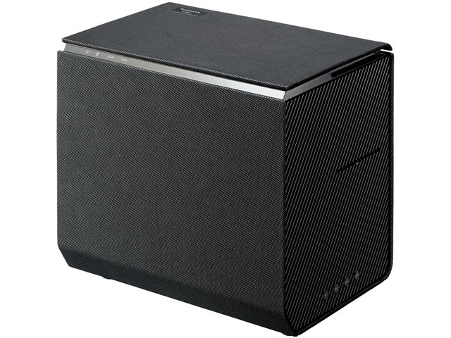 TH-100FP1 [�u���b�N]