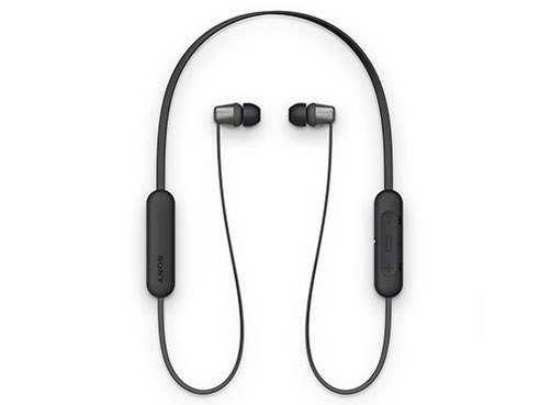 WI-C310 (B) [ブラック]の製品画像 - 価格.com