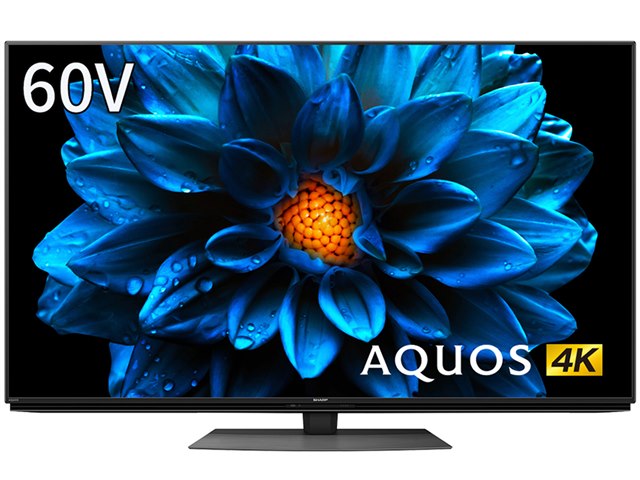 レグザ　4K　有機EL　55X9900L　使用期間は2ヵ月未満です