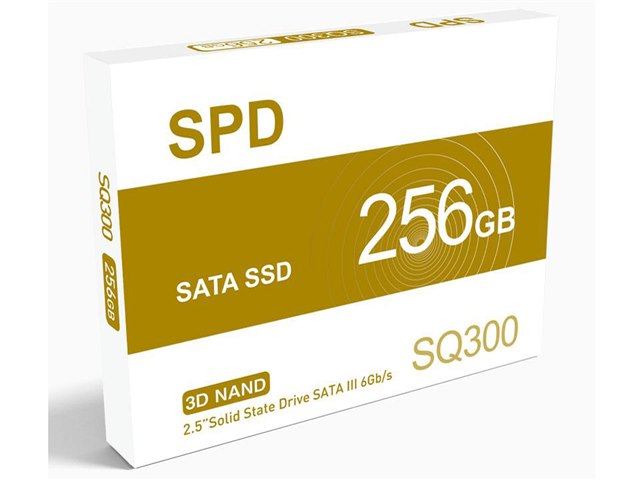 SQ300-SC256GDの製品画像 - 価格.com