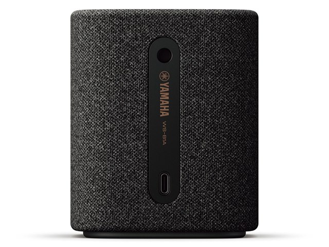 WS-B1A(HC) [カーボングレー]の製品画像 - 価格.com