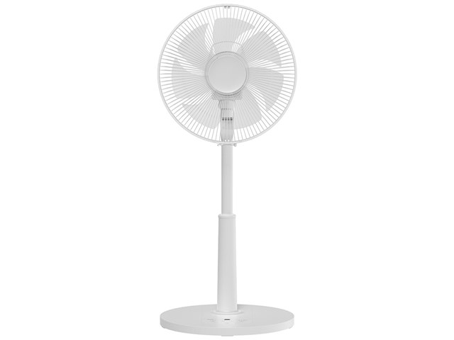 RLX-CP030 [���C�g�O���[]