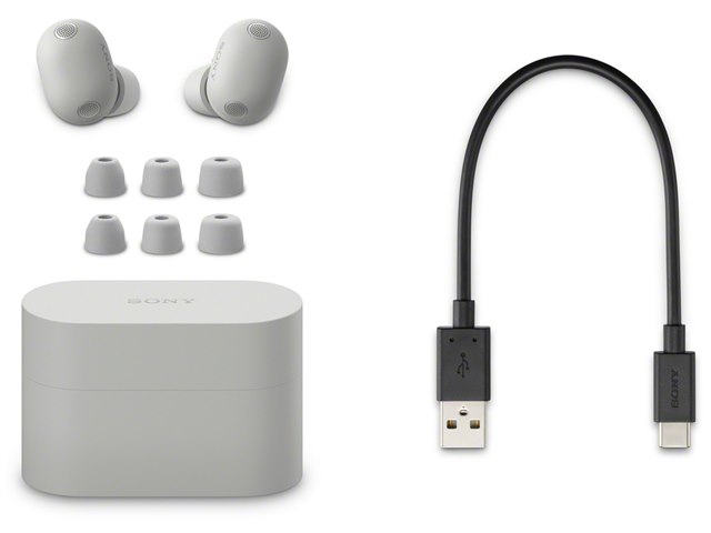 WF-1000XM6 (S) [プラチナシルバー]の製品画像 - 価格.com