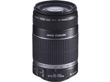 CANON ef-s 55-250mm1:4-5.6 is