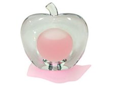 ノバエ ピンクアップル Edp 25ml 価格比較 価格 Com