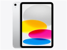 iPad Wi-Fi + Cellularモデル 256GB - シルバーを購入 - Apple