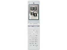 LGエレクトロニクス docomo STYLE series L-01C [Platinum White] 価格