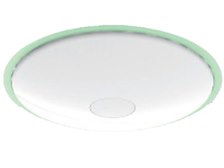 アイリスオーヤマ ECOLUX IRLDHCL5171NL-CO1 価格比較 - 価格.com