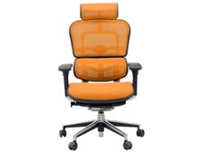 デスクチェア ergohuman basic エルゴヒューマン Basic Ergohuman ハイスペックチェア オフィス