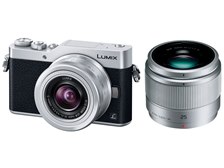 カメラ実用美品 Panasonic パナソニック LUMIX DC-GF9 シルバー