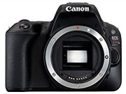 CANON EOS Kiss X9 ボディ 価格比較 - 価格.com