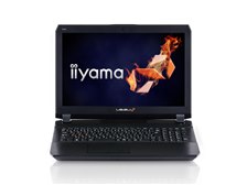 iiyama LEVEL-15FX093-i7-RNSR-L [Windows 10 Home搭載] Core i7/8GB