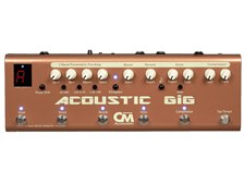 CARL MARTIN Acoustic GIG 価格比較 - 価格.com