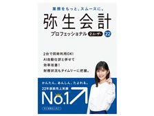 弥生 弥生会計 22 プロフェッショナル 2ユーザー 通常版 <消費税法改正