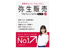 弥生 弥生販売 22 プロフェッショナル 2ユーザー 通常版 <消費税法改正