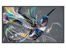 フィリップス 50BDL3550Q/11 [49.5インチ] 価格比較 - 価格.com