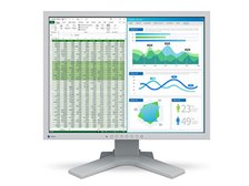 EIZO FlexScan S2134-HGY [21.3インチ セレーングレイ] 価格比較