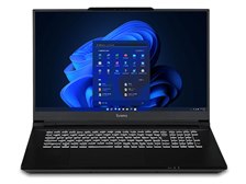 iiyama LEVEL-17WG191-i9-XL1X Core i9 13900HX/32GBメモリ/1TB NVMe M