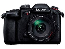 パナソニック LUMIX DC-GH5M2H 高倍率ズームレンズキット 価格