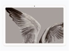 Google Pixel Tablet Porcelain 単体版 Wi-Fi Google Pixel Tablet 10.95 INCH Porcelain 128GB + 8GB WIFI +