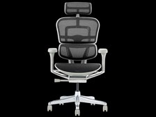 エルゴヒューマン Ergohuman PRO2 EHP2-HAM-DR-GF-BK [ブラック] 価格