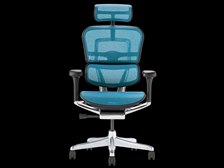 エルゴヒューマン Ergohuman PRO2 EHP2-HAM-DR-BF-BL [ブルー] 価格 
