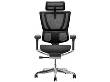 エルゴヒューマン Ergohuman FIT2 FIT2-HAM-DR-BF-BK [ブラック] 価格 