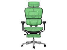 エルゴヒューマン Ergohuman PRO2 Ottoman EHP2-LPL-5D-DR-BF-GN