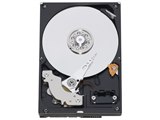 wd5002abys-01b1b0、DCM hhnnht2mab、Westernデジタル500?GB SATA 3.5ハードドライブ Western Digital WD5002ABYS-01B1B0 - 500GB 7.2K RPM SATA 3.5