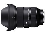 【状態良好】SONY FE24-70mm F2.8 GM ズームレンズ ソニー FE 24-70mm F2.8 GM IIレビュー｜広角シャッキリ寄り