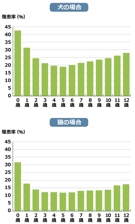 価格 販売 com ペット