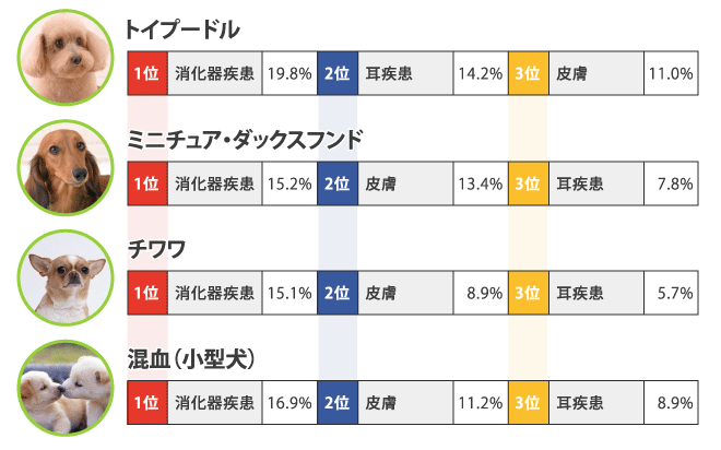 ペットの罹患率 ペット保険 価格 Com