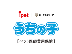 犬 チワワのペット保険を比較 人気ランキング順 価格 Com