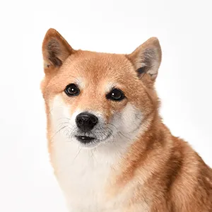 �Č�