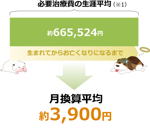 ペット保険 比較 2020年人気ランキング 動物保険 価格 Com