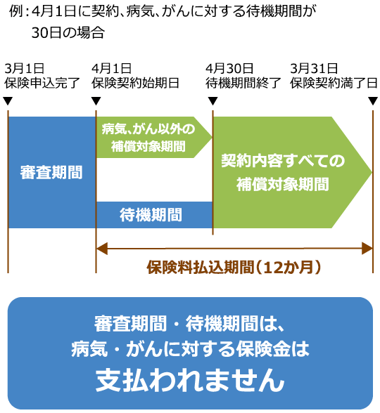 ペット保険 比較 21年人気ランキング 動物保険 価格 Com