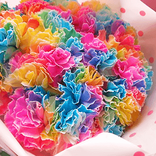 ���C���{�[�J�[�l�[�V����