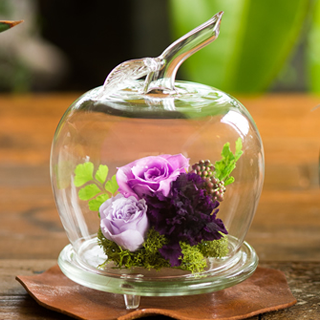 �v���U�[�u�h�t�����[ �K���X�h�[��